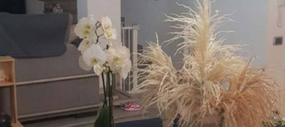 2 chambres Villa à Bomporto, Italy No. 98092 19