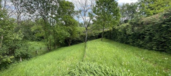 Casa de 5 habitaciónes en Rohrbach an der Lafnitz, Austria No. 43145 6