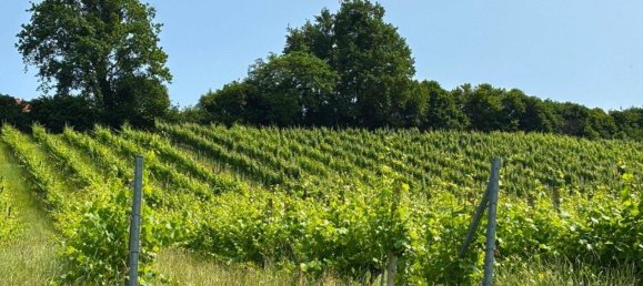 3-salle Châteaux à Kloch, Austria No. 215736 18