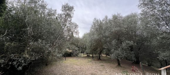 5 Schlafzimmer Haus in Cetona, Italy, Nr. 54582 14