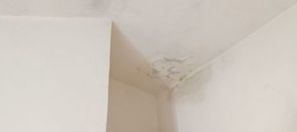 5 rooms Apartment in Canda, Italy No. 281652 9