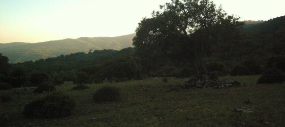  Land in Gaucin, Spain No. 83287 9