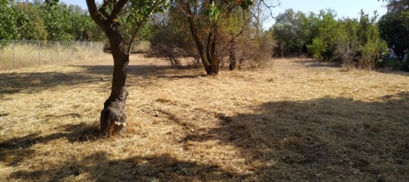  فندق في Kifisia, Greece 530متر مربع رقم 4439 2