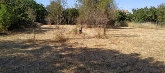  فندق في Kifisia, Greece 530متر مربع رقم 4439 3