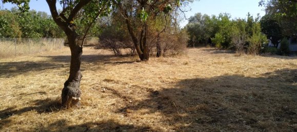  فندق في Kifisia, Greece 530متر مربع رقم 4439 4