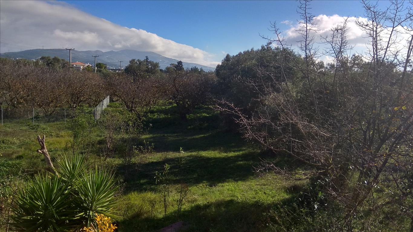  فندق في Kifisia, Greece 530متر مربع رقم 4439