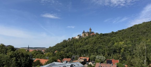 Villa de 8 divisões em Harz, Germany N.º 331138 22
