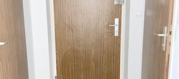 4 rooms Apartment in Brunn am Gebirge, Austria No. 233984 20