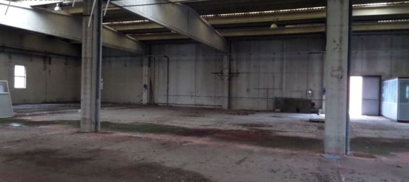Almacén en Piacenza, Italy 2000 m² No. 151430 6