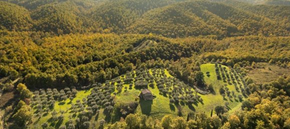 8 rooms House in Città della Pieve, Italy No. 56452 25