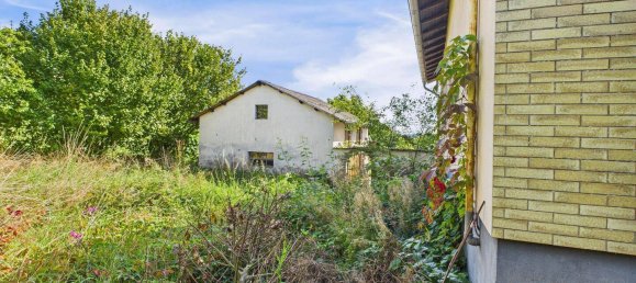 4 bedrooms Farm in Merzig-Wadern, Germany No. 296296 15