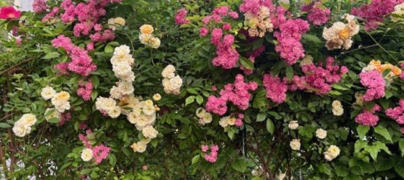 3-Zimmer Wohnung in Währing, Austria, Nr. 152744 21