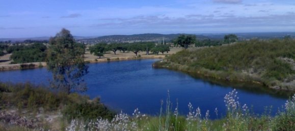 3 Schlafzimmer Schlösser in Portalegre, Portugal, Nr. 136590 2