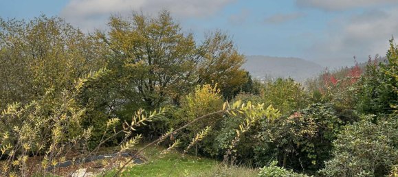 6 chambres Villa à Heidelberg, Germany No. 37165 8
