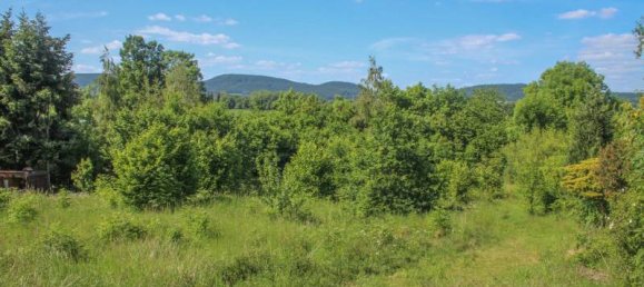  Land in Schaumburg, Germany No. 168851 2