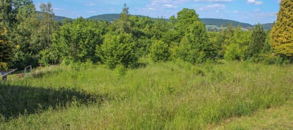  Land in Schaumburg, Germany No. 168851 3