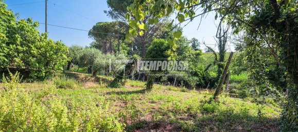 11 غرف نوم منزل في Misano Adriatico, Italy رقم 327834 32