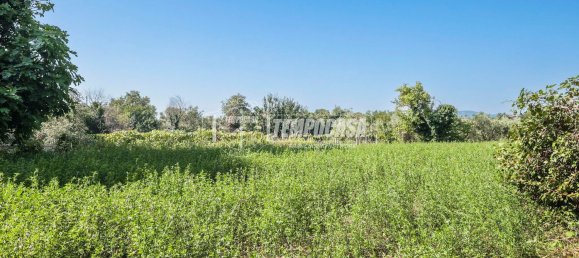 11 غرف نوم منزل في Misano Adriatico, Italy رقم 327834 34