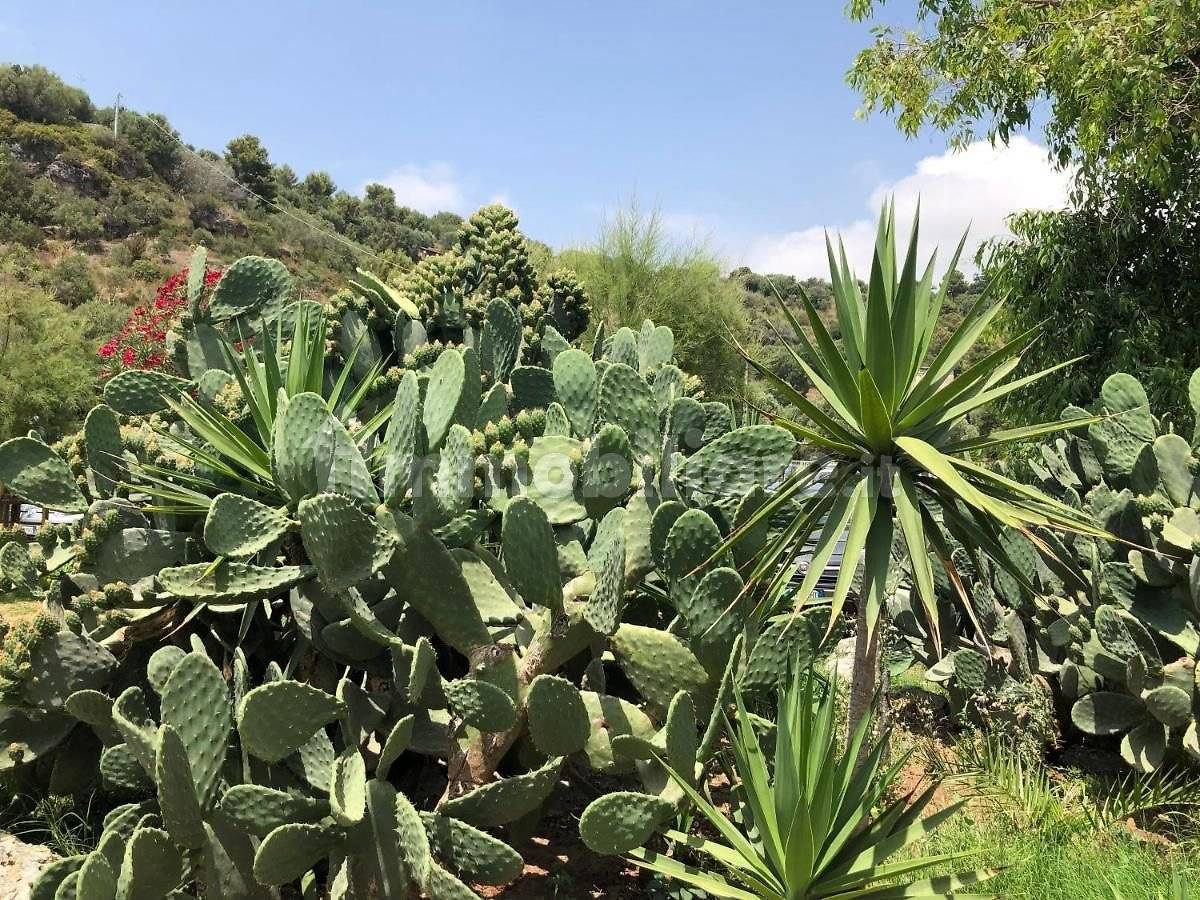 4 bedrooms Villa in Camerota, Italy No. 7390