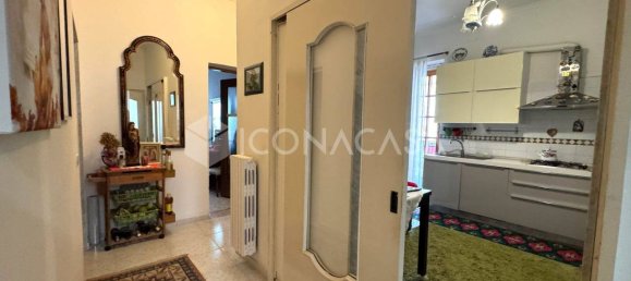 3-Zimmer Gewerbliche Immobilie in Noicattaro, Italy, Nr. 17945 4