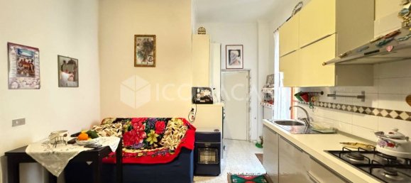 3-Zimmer Gewerbliche Immobilie in Noicattaro, Italy, Nr. 17945 5