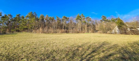  قطعة أرض في Hinterbruhl, Austria رقم 45954 5