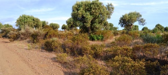 Hotel em Chalkidiki, Greece 19000 m² N.º 7170 6