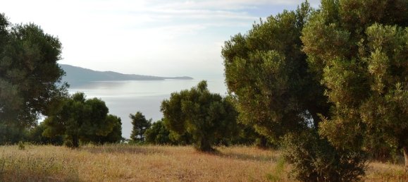 19000m² Hotel for sale in Chalkidiki, Central Macedonia, Macedonia and Thrace, Greece № 7170 10
