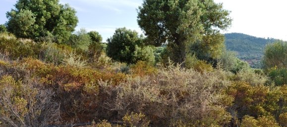 Hotel em Chalkidiki, Greece 19000 m² N.º 7170 5