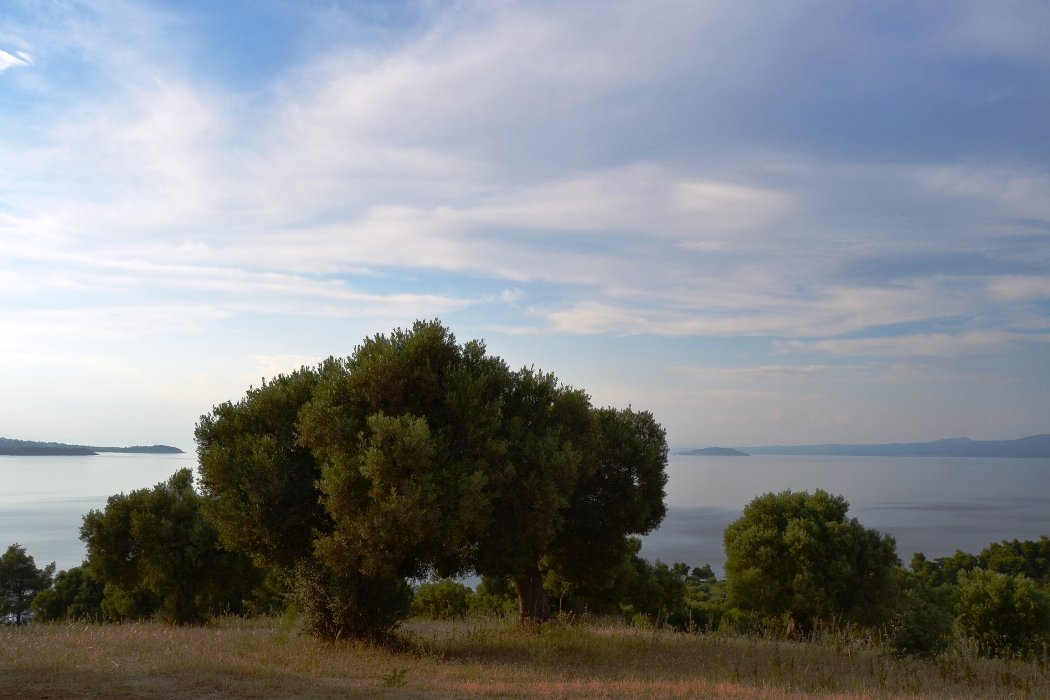 19000m² Hotel for sale in Chalkidiki, Central Macedonia, Macedonia and Thrace, Greece № 7170