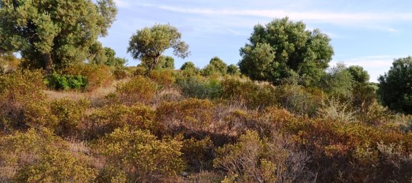 Hotel em Chalkidiki, Greece 19000 m² N.º 7170 7