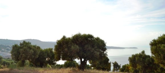 Hotel em Chalkidiki, Greece 19000 m² N.º 7170 2