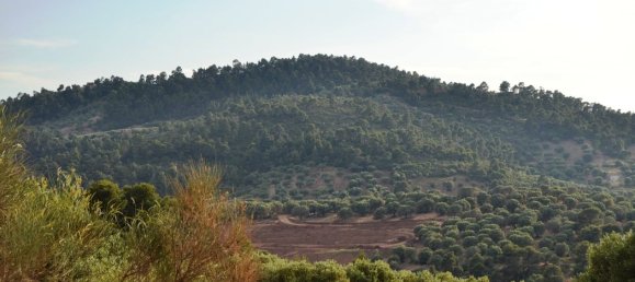 19000m² Hotel for sale in Chalkidiki, Central Macedonia, Macedonia and Thrace, Greece № 7170 9