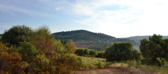 Hotel em Chalkidiki, Greece 19000 m² N.º 7170 8