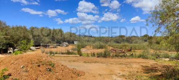 Casa T4 em Manacor, Spain N.º 167068 14