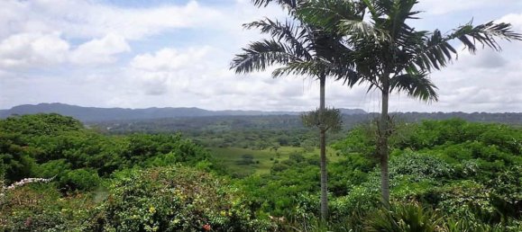 5 chambres Maison à Port-Vila, Vanuatu No. 143 9