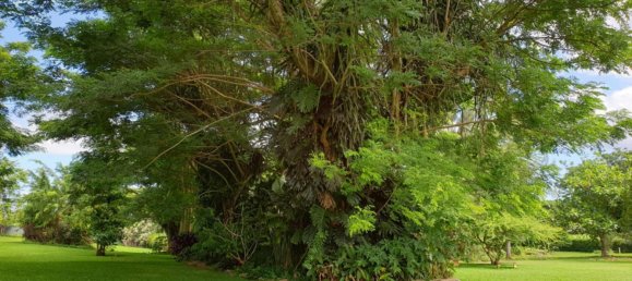 5 chambres Maison à Port-Vila, Vanuatu No. 143 22