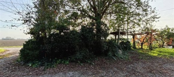 8 rooms Villa in Alfonsine, Italy No. 149584 3