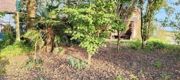 8 rooms Villa in Alfonsine, Italy No. 149584 8