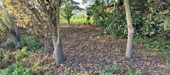 8 rooms Villa in Alfonsine, Italy No. 149584 5