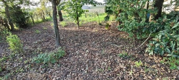 8 rooms Villa in Alfonsine, Italy No. 149584 6