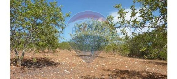 Grundstück in Albufeira, Portugal 127770m², Nr. 43072 3