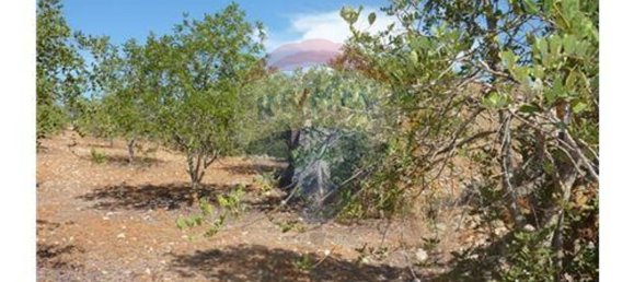 Grundstück in Albufeira, Portugal 127770m², Nr. 43072 4