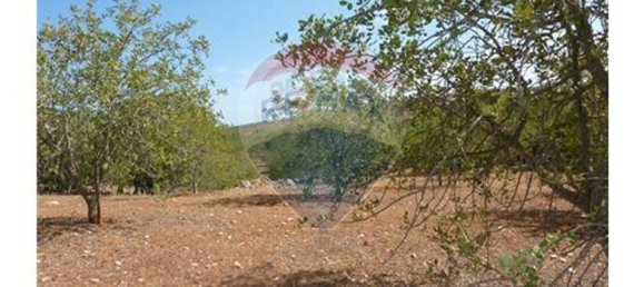 Grundstück in Albufeira, Portugal 127770m², Nr. 43072 10