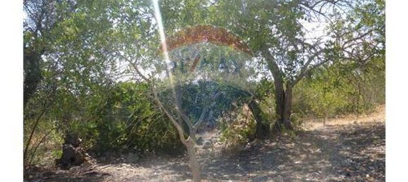 Grundstück in Albufeira, Portugal 127770m², Nr. 43072 7