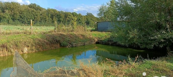 4 chambres Maison à Dame-Marie-les-Bois, France No. 42782 24