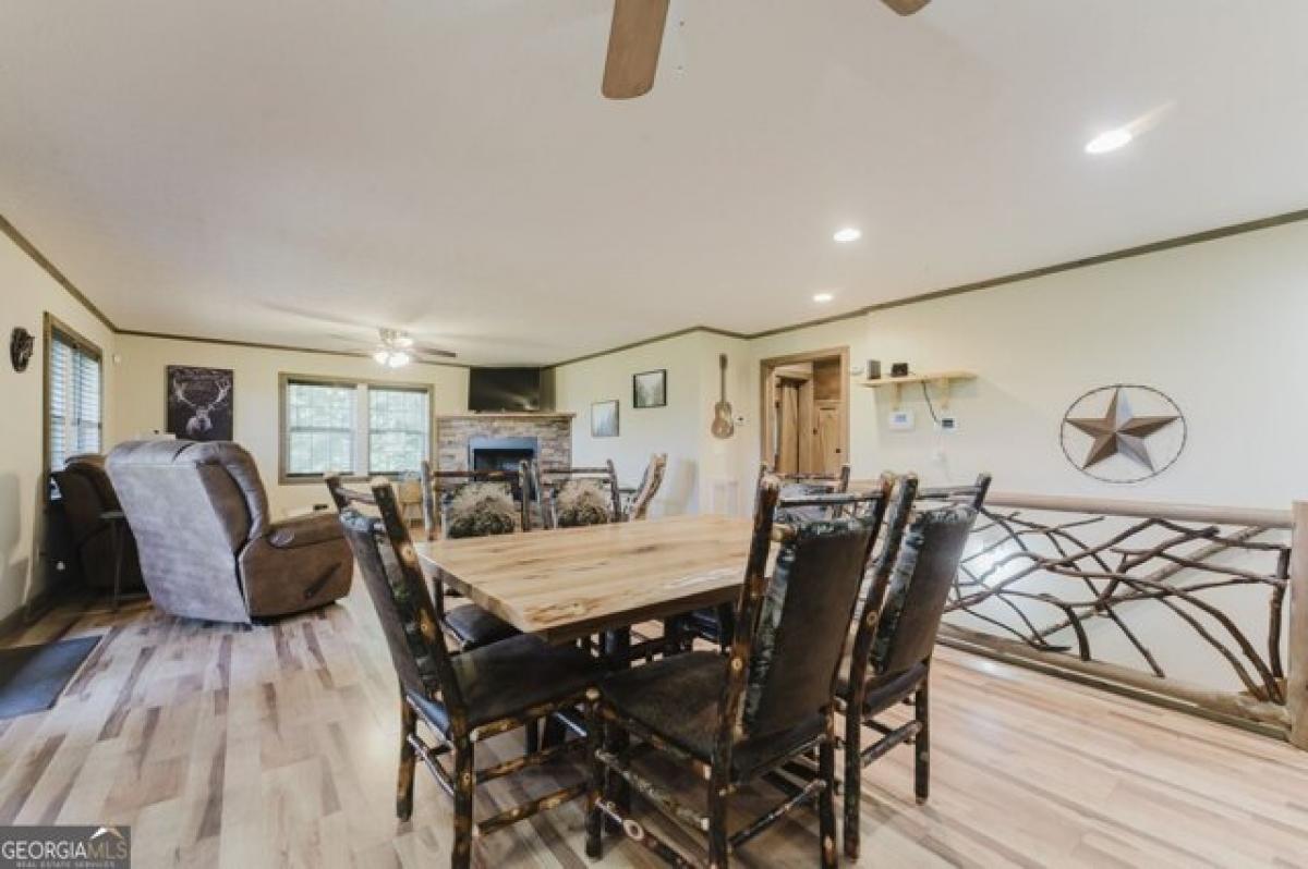 3 bedrooms House in Mineral Bluff, USA No. 422219