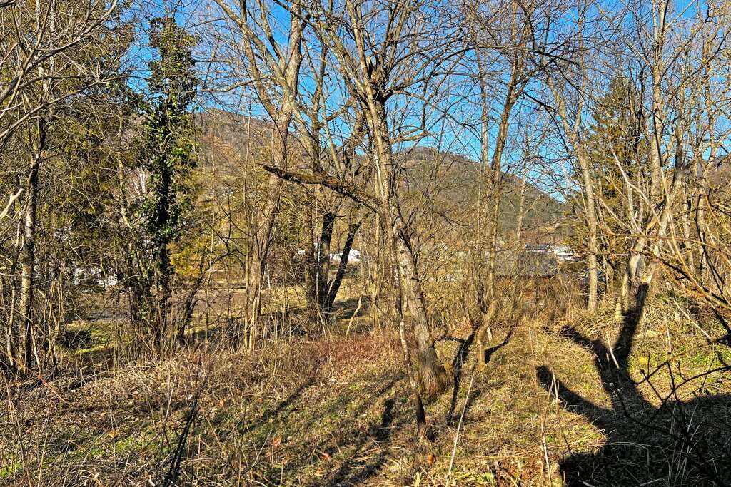 Земельный участок в Тюрниц, Австрия № 23403