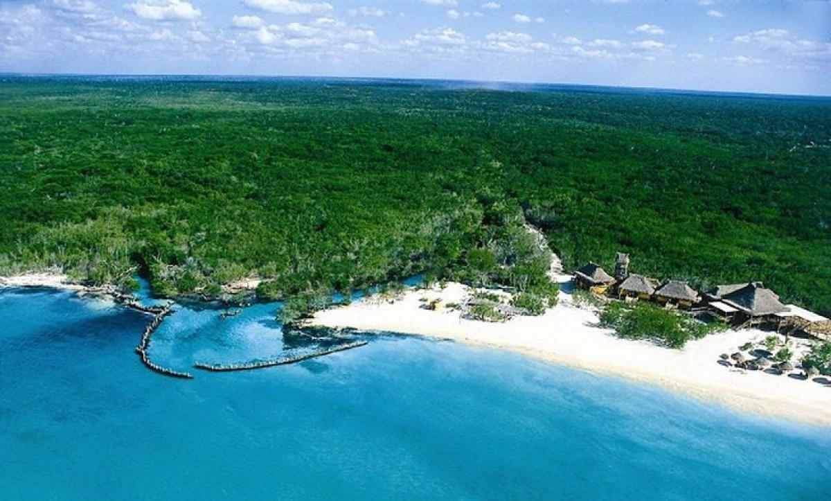 12000m² Building in Solidaridad, Mexico No. 202328