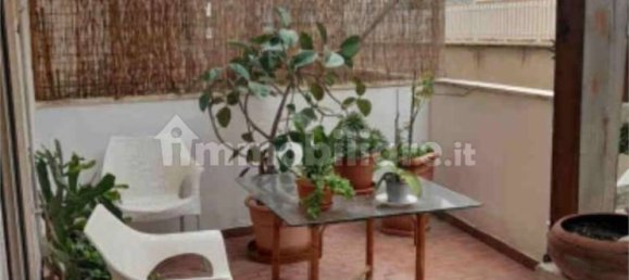 2 bedrooms Apartment in Nettuno, Italy No. 13326 25